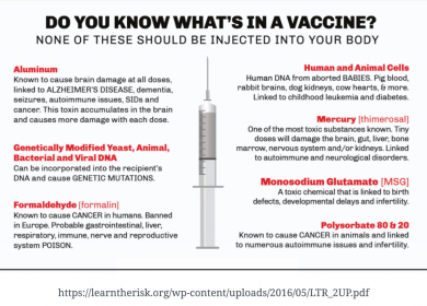 What is inside Vaccines